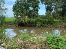 Chủ gởi 4700m2 đất ruộng thuộc Đông Thạnh -TXBM