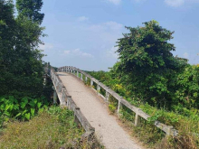 Bán miếng ruộng tổng diện tích 11000m²