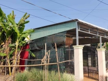 Bán nền và nhà mới xây  Lộ đan cách lộ nhựa 50m