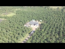 15Ha Đất vườn BUÔN ĐÔN đang được thu hoạch có hệ thống tưới và năng lượng mặt tr