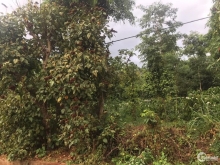 cần bán gấp lô đất rẫy 2 mặt tiền phường Khánh Xuân