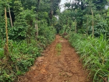 cần tiền bán nhanh 3.8 sào ngay tt eapok giá siêu rẻ