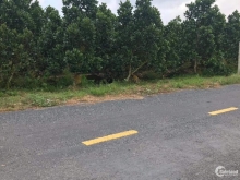 Chính Chủ Gửi Bán Gấp Đất Nền Đường Nguyễn Thái Học nối dài