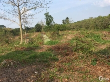 Cần ra gấp 7 công đất,đã sang bằng Xã hoà khánh,Cái Bè.Tg