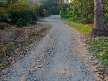 Ấp 4cẩm sơn 3 mặt tiền xe hơi đến đất chủ ngộp cần bán gấp cln vô thu hoạch ngay