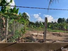 Ra 4 nền phường Nhị Mỹ Ngang 5m dài 40m đã san lă