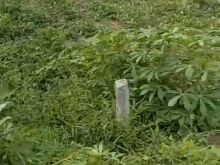 Đất mặt tièn Đường Nguyễn Văn Tạo Khu phố mỹ an,phường nhị mỹ,thị xã cai lậy