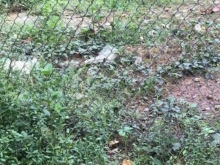 ĐẤT NỀN mặt tiền Mỹ Lợi, phường Nhị Mỹ, Tx Cai Lậy