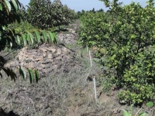 Gia đình đang cần bán hơn 7 công đất ở ấp Bình Thạnh xã Bình Phú