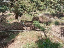 Bán đất vườn 2 mặt tiền tại Cẩm Sơn, Cai Lậy