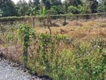 Nền đất ấp Phú Thuận xã Long Khánh mặt tiền đường đá xanh 4m