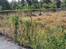 Nền đất ấp Phú Thuận xã Long Khánh mặt tiền đường đá xanh 4m