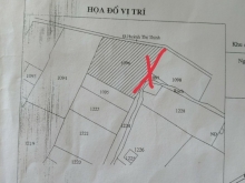 Cần bán nhanh 2500m đất lúa mt đường Huỳnh Thị Thinh, Phước Lại, Cần Giuộc, LA