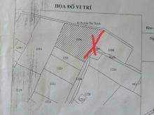 Cần bán nhanh 2500m đất lúa mt đường Huỳnh Thị Thinh, Phước Lại, Cần Giuộc, LA