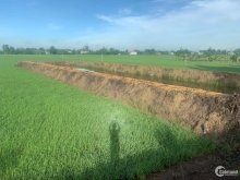 BÁN 04 NỀN ĐƯỜNG NHỰA BA SAO CỤT XÃ PHƯƠNG TRÀ   Diện tích đất:20 x 58m.