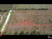 Bán 4 nền Ấp Keo xã Long Định huyện Châu Thành tỉnh Tiền Giang