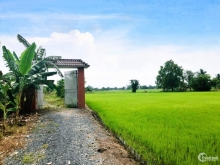 Bán ??.???? tại Ấp Tây 1. Xã Long Định. Châu Thành. Tiền Giang