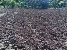 Đất bán tại Miễu Hội, Thạnh Phú Châu Thành Tiền Giang giá rẻ