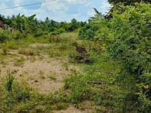 Cần bán tổng diện tích 640m² (16m*40m) Long Định, Châu Thành Tiền Giang