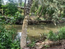 CẦN VỐN LÀM ĂN CẦN RA GẤP 2 MIẾNG ĐẤT LONG HƯNG, CHÂU THÀNH, TIỀN GIANG