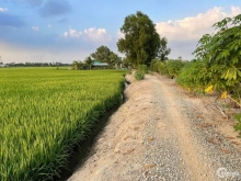 Bán 4 công đất Ấp Hưng xã nhị bình châu thành tg