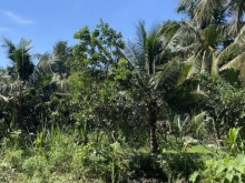 Cần bán gấp 3500m đất ấp Mỹ xã kim Sơn  Châu Thành Tiền Giang