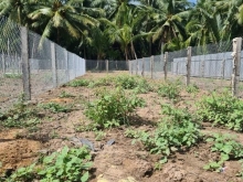 ĐẤT ĐẸP ẤP LONG HÒA- XÃ HÒA ĐỊNH - CHỢ GẠO  GIÁ TỐT