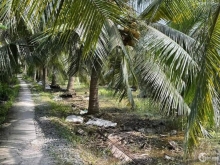 Đất đẹp tại Hòa Phú, Bình Ninh, Chợ Gạo