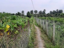 BÁN 1500MV ĐẤT XÃ SONG BÌNH HUYỆN CHỢ GAO