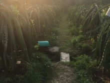 Bán đất giá tốt tại Đăng Hương Phước, Chợ Gạo