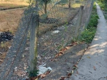 Cần ra gấp 2200m đất trồng dừa, tại Long Bình Điền, Chợ Gạo, Tiền Giang