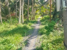 Bán đất đường ba gác ,MỞ RỘNG Ô TÔ TỚI ĐẤT Bình Hòa Long Bình điền chợ gạo