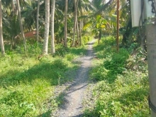 Bán đất đường ba gác ,MỞ RỘNG Ô TÔ TỚI ĐẤT Bình Hòa Long Bình điền chợ gạo