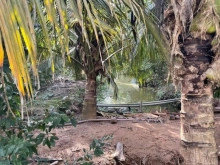 Cần bán 5 công Song Bình Chợ Gạo, cách đường nhựa 70 mét đất vuông bao đẹp