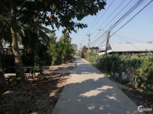 bán đất+ nhà cấp 4 đường xe du lịch ấp an thị, xả mỷ tịnh an, CG, tiền giang