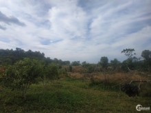 Cần bán đất nông nghiệp , đất dốc , có view suối