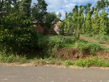 Cần bán đất công nghiệp có cà phê, hồ tiêu, điều, cây màu đã được thu hoạch đất