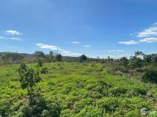 Đất sào view hồ và cây ăn trái  9,3 Sào