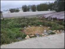 Bán lô đất sổ riêng nông nghiệp tại P8 giá rẻ