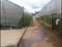 Chỉ 1tỷ250 triệu có ngay lô đất nông nghiệp, đà lạt