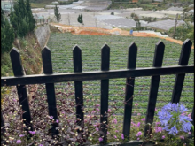 Chủ kẹt tiền cần bán gấp 600m2 đất Nông Nghiệp Giá 14,5tr/m2