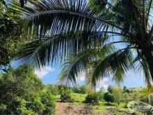 Bán lô đất vườn Diên Sơn - Diên Khánh