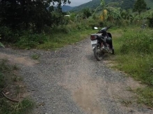 Bán Rẫy Xoài Lâu Năm Thuộc Xã Diên Điền,Diên Khánh