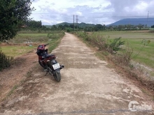 Ban đất xã Diên Thọ  Gần TL2 chỉ 200m