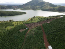 Góc cần bán Lô Thổ vườn nông nghiệp 1296m2 #1ty684tr đường 3.5m