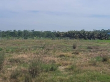 Đất bán Ấp Nghĩa Chí xã Phước Trung. H Gò Công Đông