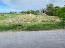 ️ĐẤT NGỘP cần bán : Mặt tiền đường Bà Lãnh, Gò Công Đông