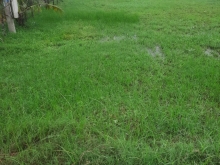 Đất tại Bình Nghị Gò Công Đông giá tốt