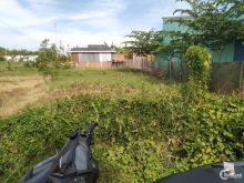 Bán đất ấp Hoà Bình xã Bình Nghị huyện Gò Công Đông