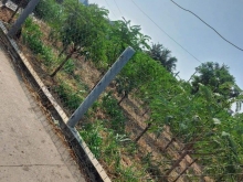 Đất hai mặt tiền bê tông đường thông thoáng Ấp 4-Gia Thuận-GCĐ